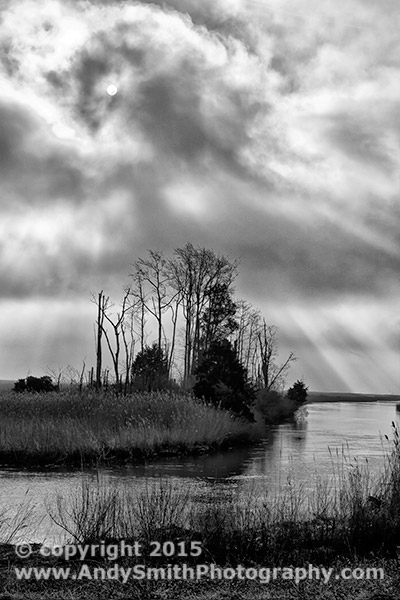 Morning Sun at Bombay Hook