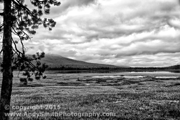 View from the Cascades Lakes National Scenic Byway