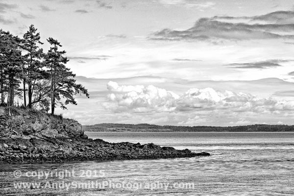 Scenic Beauty in the San Juan Islands