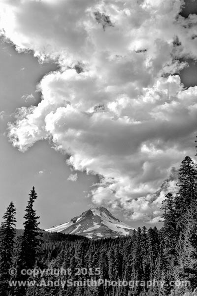 Mt Hood from Below