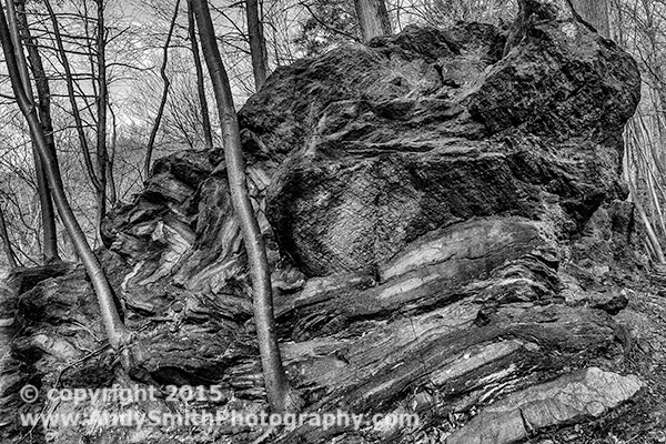 Rock and Trees in Fairmont Park