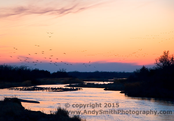 Sunset Glow on the Platte River with Sandhill Cranes