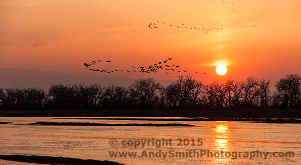 Flying in the Sunset on the Platte River