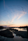 Sandhillls on the Platte at Sunset