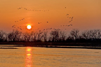 sandhills at sunset