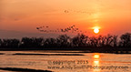 Sunset on th ePlatte River