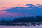 Evening on the Platte River