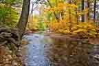 French Creek in the fall