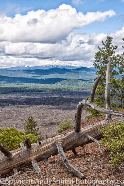 Looking Toward Mt Bachelor from the Lava Butte