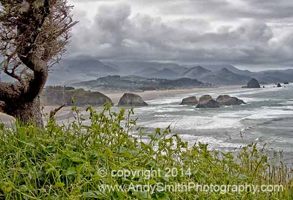 Cannon Beach from Ecola