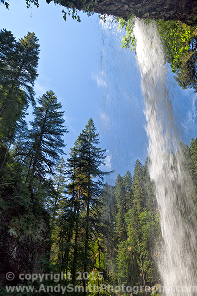 Looking Up Beneath North Falls, Silver Creek State Park, Oregon