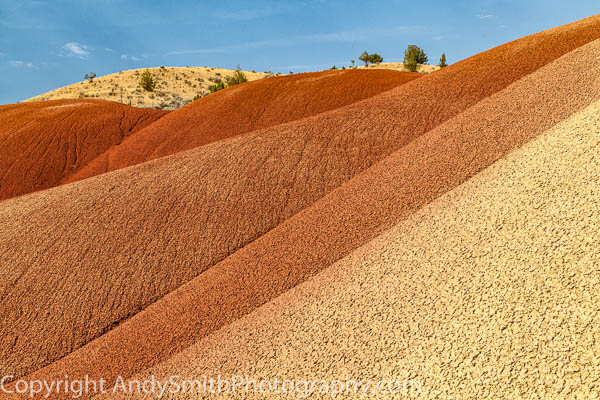 Painted Hills Ripples