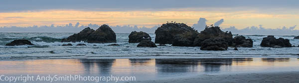 Gulls on the Rocks at Sunset