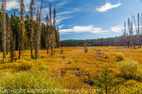 Cascade Meadow in the Fall