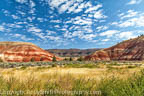 Two Painted Hills
