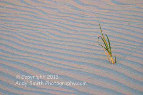 Waves in the Sand