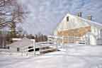 Valley forge farm in winter